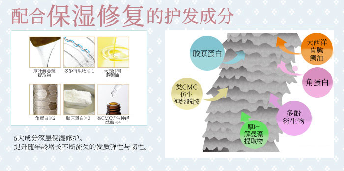 Refine SPA级发色焕新护发乳商品介绍