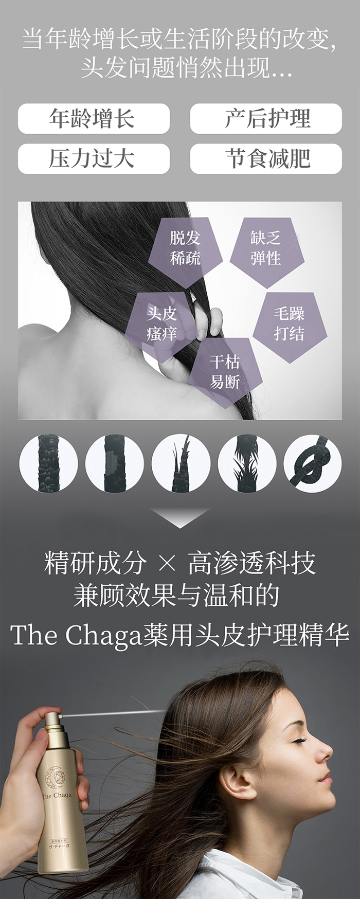 The Chaga薬用头皮护理精华商品介绍