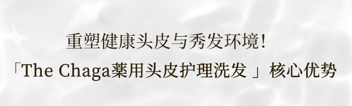 The Chaga薬用头皮护理洗发水商品介绍