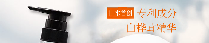 The Chaga薬用头皮护理洗发水商品介绍