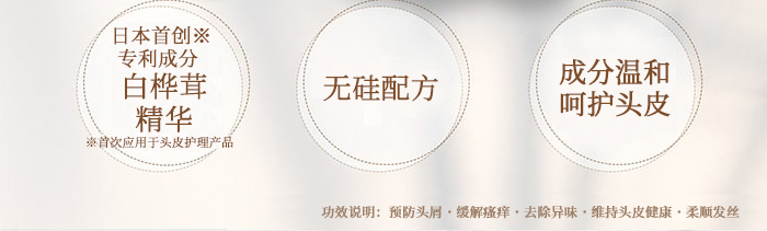 The Chaga薬用头皮护理洗发水商品介绍