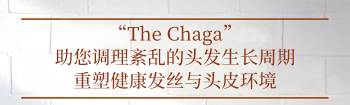 The Chaga薬用头皮护理洗发水商品介绍