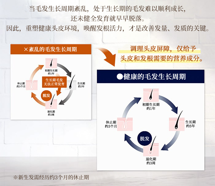 The Chaga薬用头皮护理洗发水商品介绍