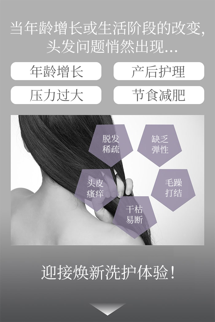 The Chaga薬用头皮护理洗发水商品介绍